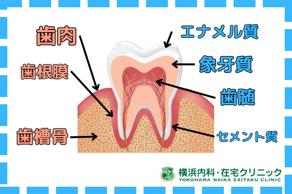 虫歯