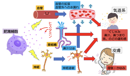 アレルギー薬
